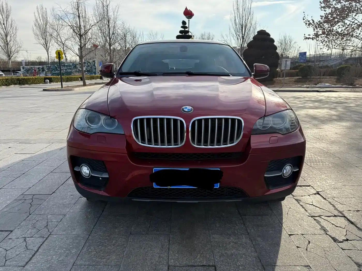 BMW X6 2009 xDrive50i — миниатюра 2