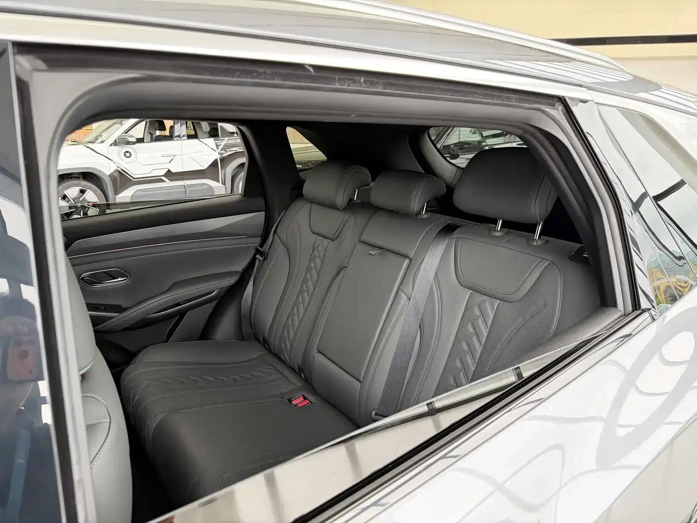 Song L DM-i 2025 Smart Driving Edition 160km/h Superior Model — миниатюра 24