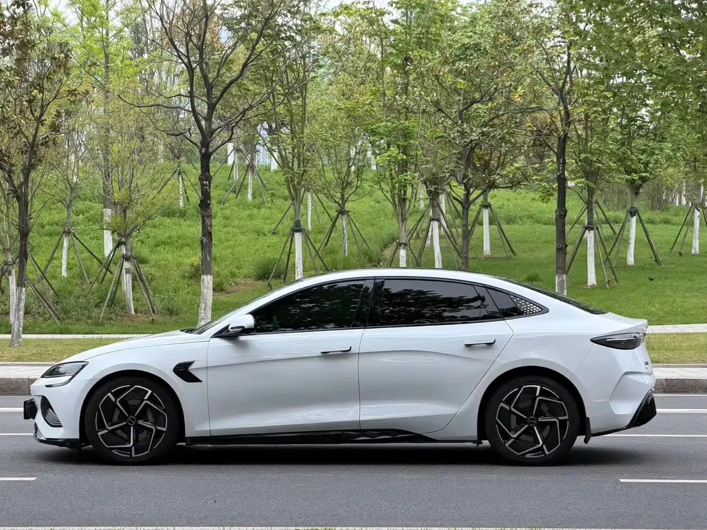 Seal 2023 Champion Edition 700km Premium — миниатюра 11