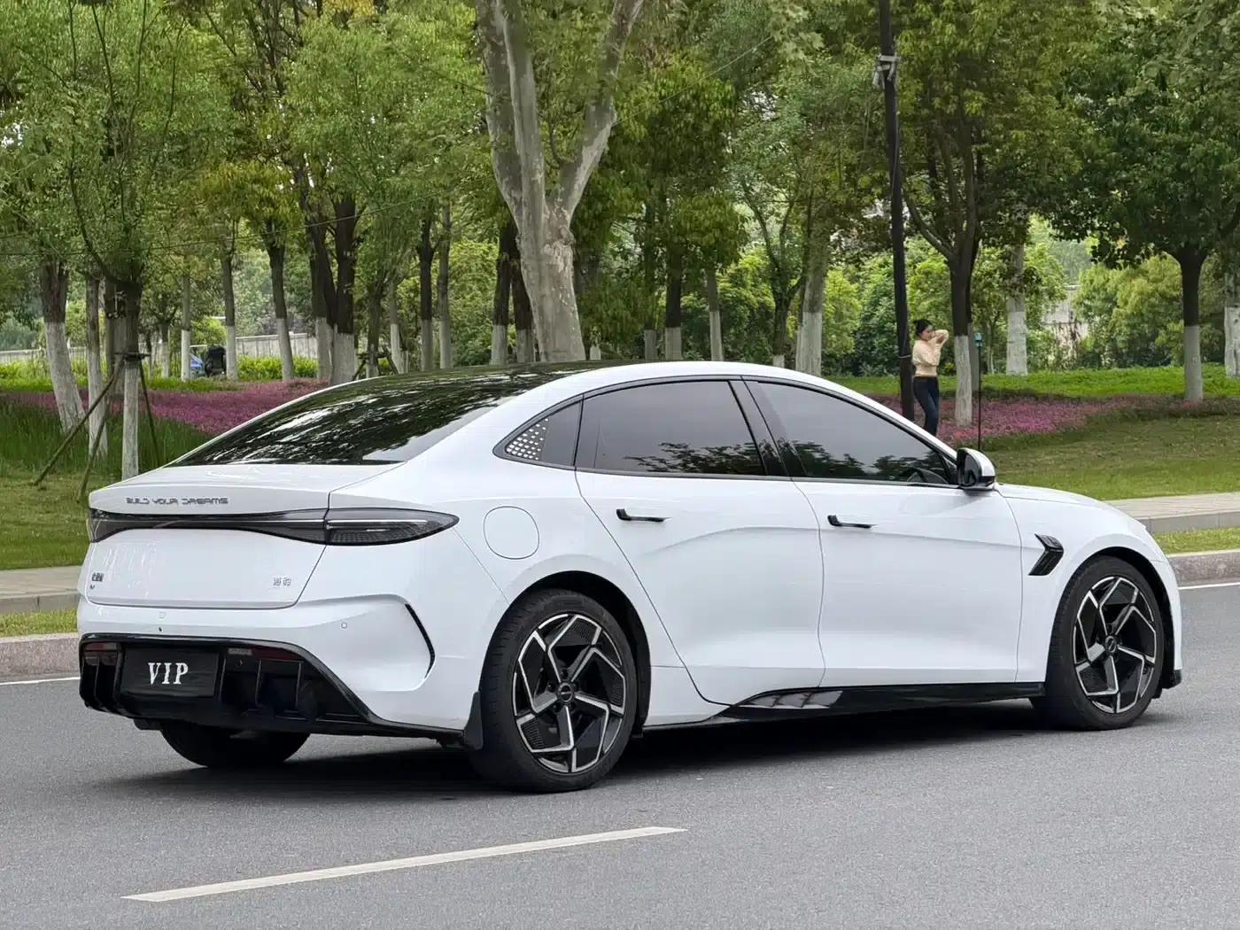 Seal 2023 Champion Edition 700km Premium — миниатюра 12