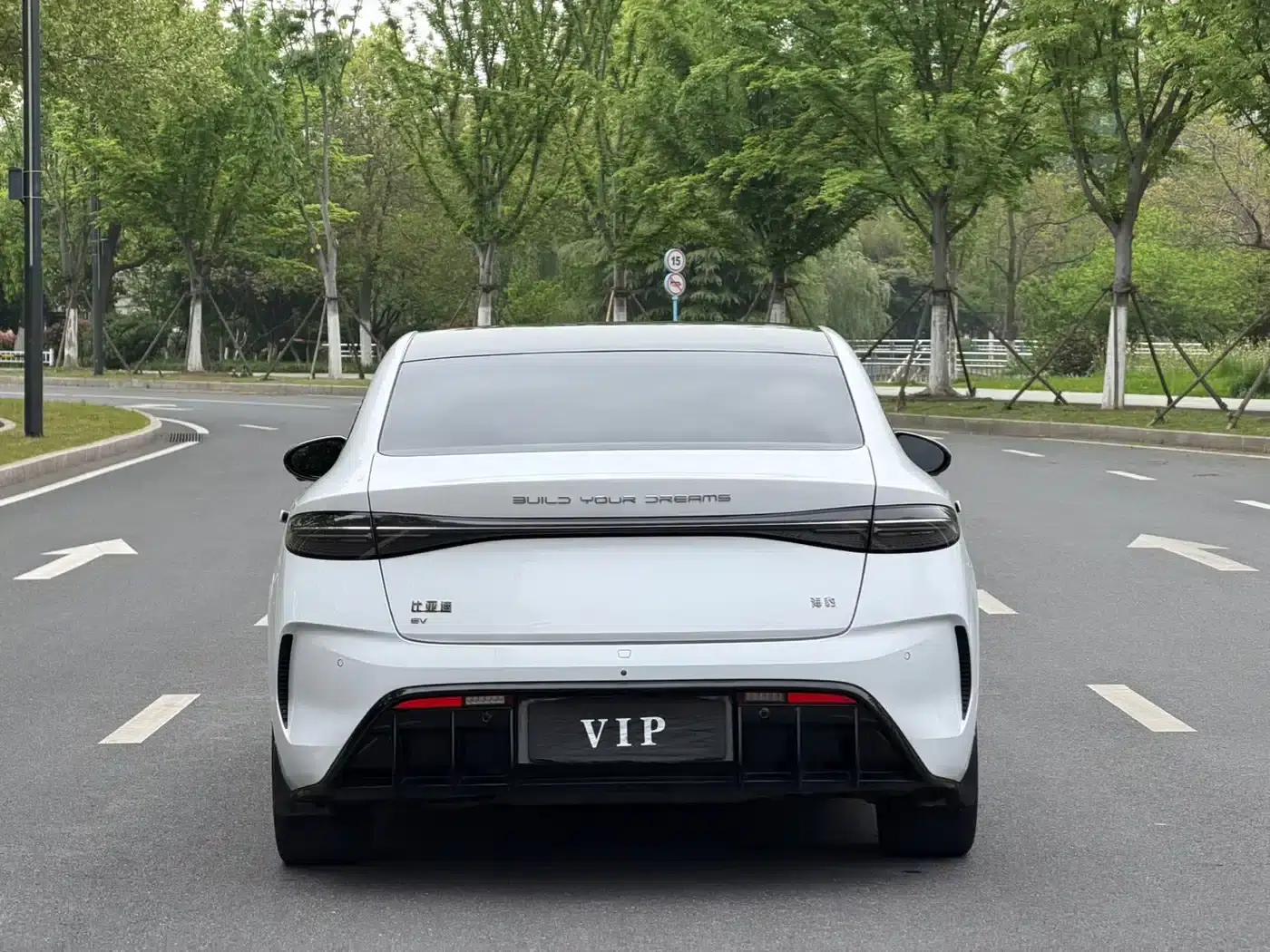 Seal 2023 Champion Edition 700km Premium — миниатюра 13
