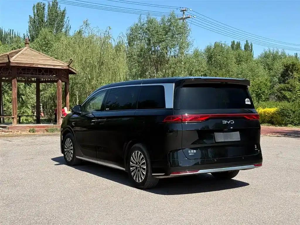 Summer 2025 DM-i 1.5T 180km/h Superior Edition — миниатюра 11