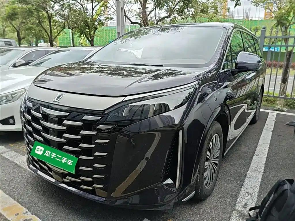 Summer 2025 DM-i 1.5T 180km Excellent Edition — миниатюра 2