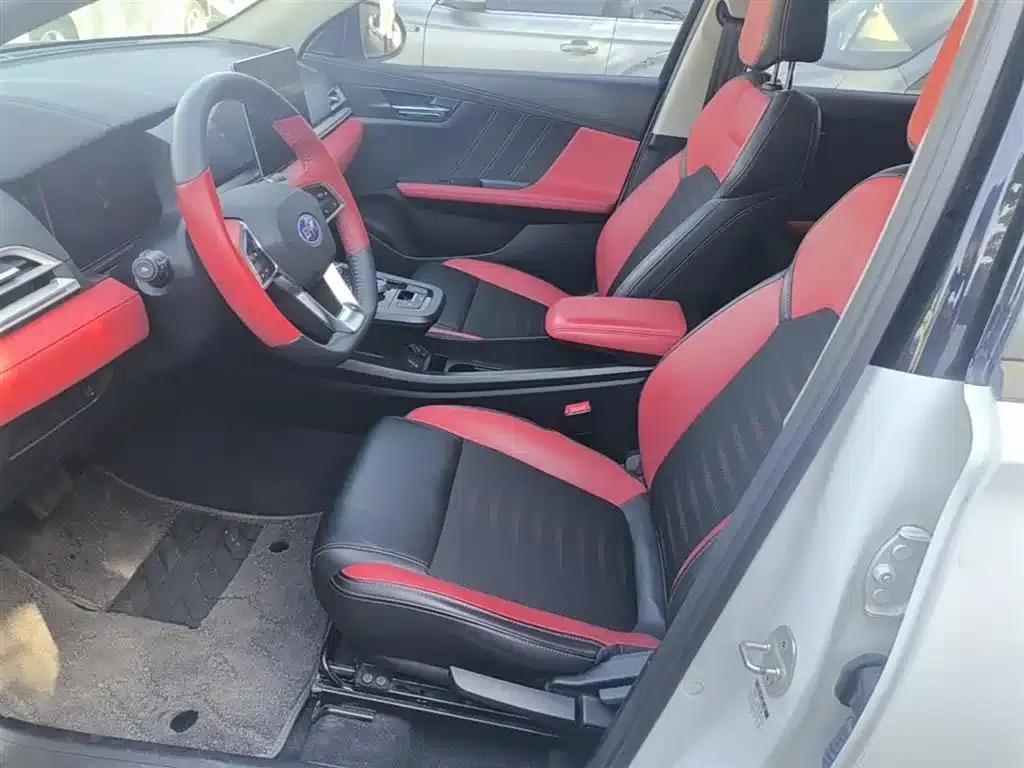 BYD e2 2021 Premium Edition — миниатюра 15
