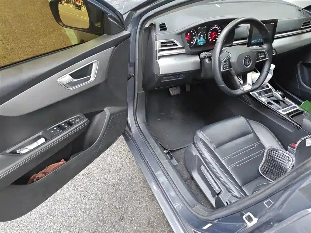 Qin New Energy 2019 Long Range Luxury Edition — миниатюра 14