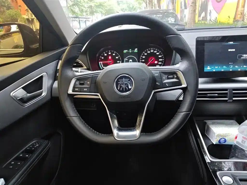 Qin New Energy 2019 Long Range Luxury Edition — миниатюра 3