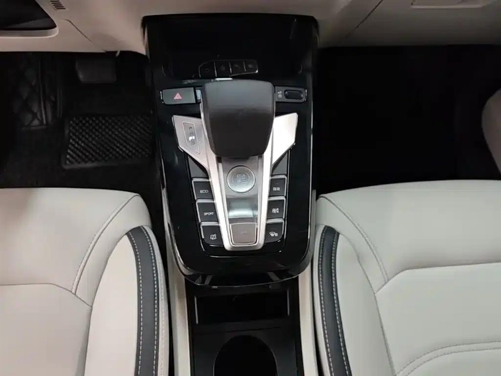 Yuan Pro 2021 401KM Luxury Edition — миниатюра 14