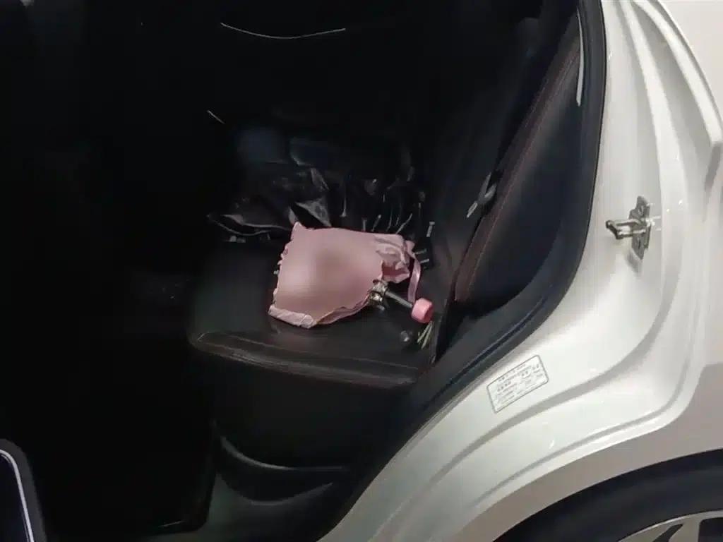 Senova X55 2016 1.5T CVT Elite Edition — миниатюра 17