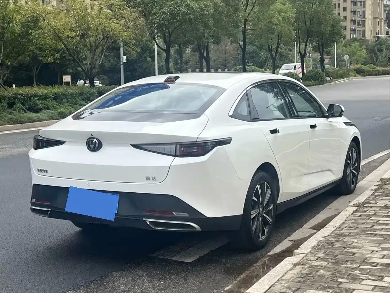 Yida 2023 Blue Whale NE 1.5T GDI DCT Navigator Edition — миниатюра 7