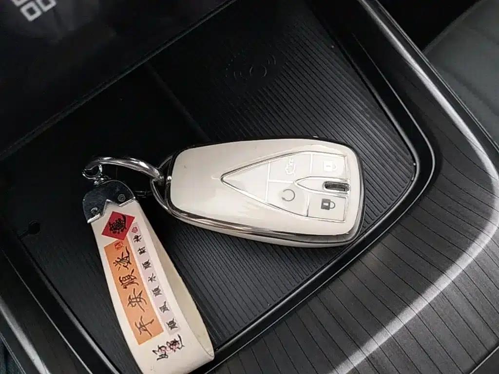Yida 2023 Blue Whale NE 1.5T GDI DCT Flagship Edition — миниатюра 9