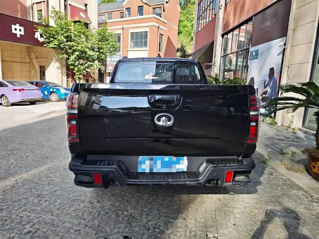 Cannon 2020 2.0T Off-Road Edition Automatic Diesel 4WD Advanced Version GW4D20M — миниатюра 8