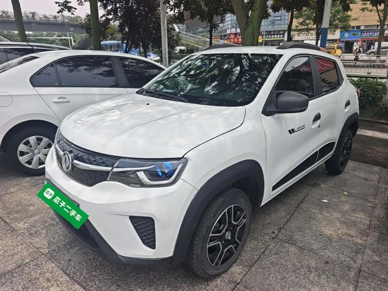 Dongfeng NAMMI EX1 2022 PRO Enjoyment Model — миниатюра 1