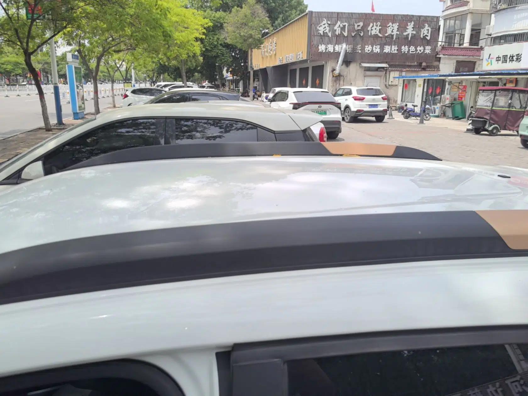 Dongfeng NAMMI EX1 2023 PRO Light Wind Edition Lightning Model — миниатюра 9