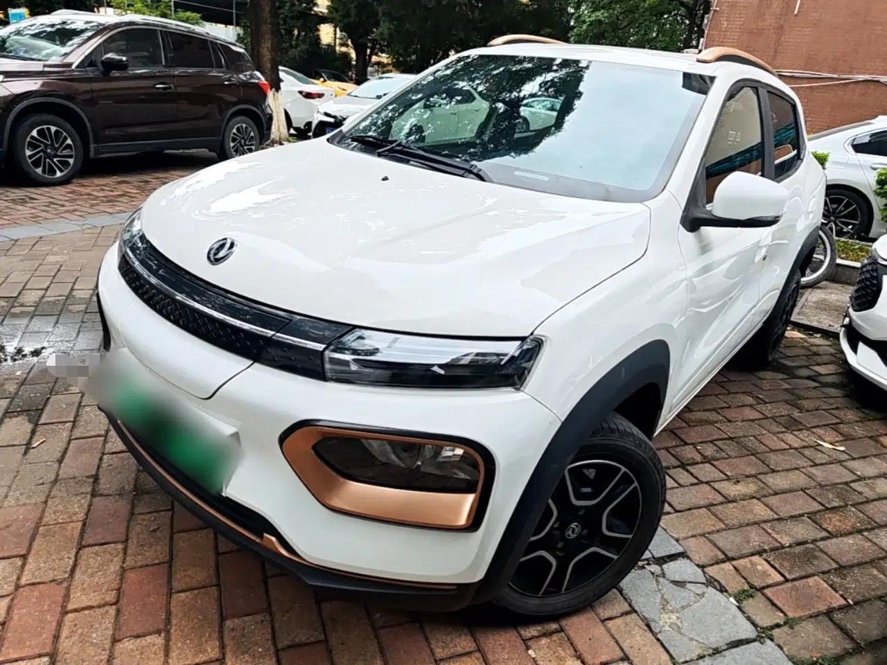 Dongfeng NAMMI EX1 2023 PRO Light Wind Edition Lightning Model — миниатюра 1