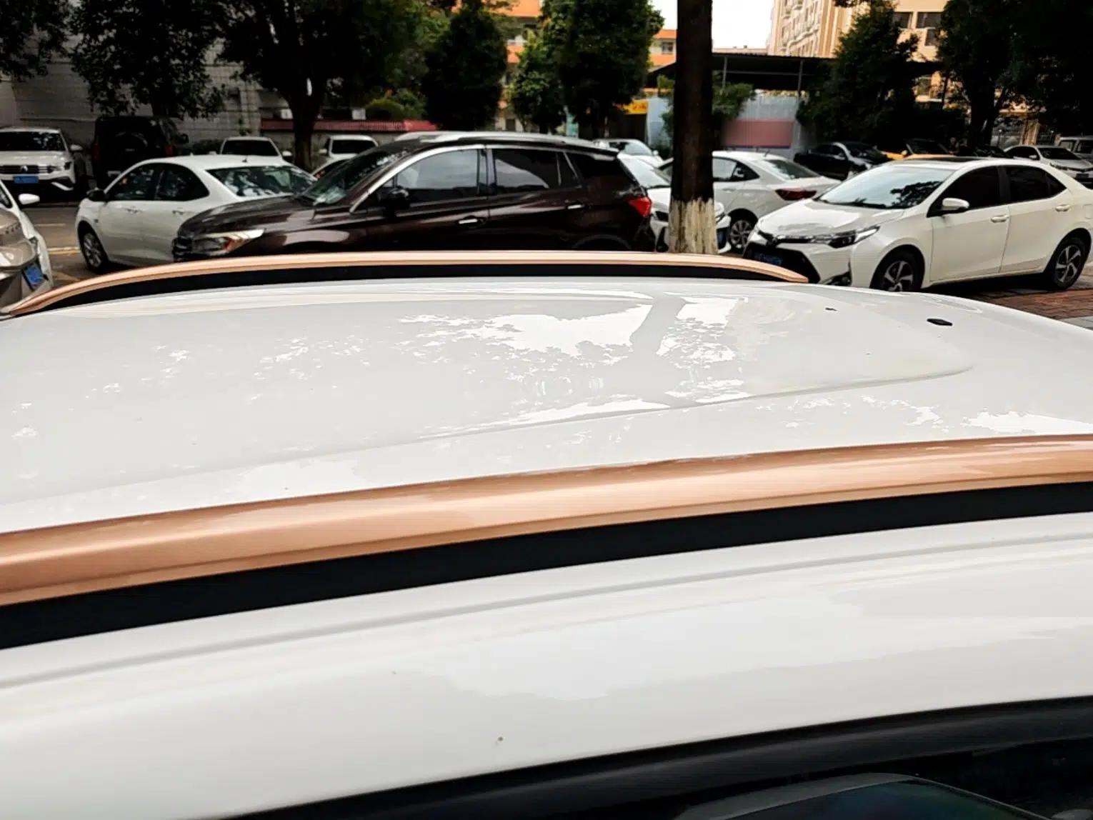 Dongfeng NAMMI EX1 2023 PRO Light Wind Edition Lightning Model — миниатюра 11