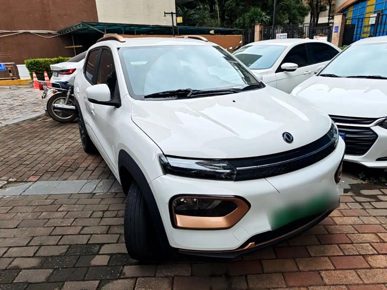 Dongfeng NAMMI EX1 2023 PRO Light Wind Edition Lightning Model — миниатюра 6