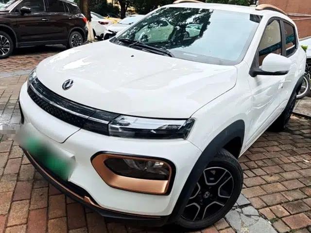 Dongfeng NAMMI EX1 2023 PRO Light Wind Edition Lightning Model