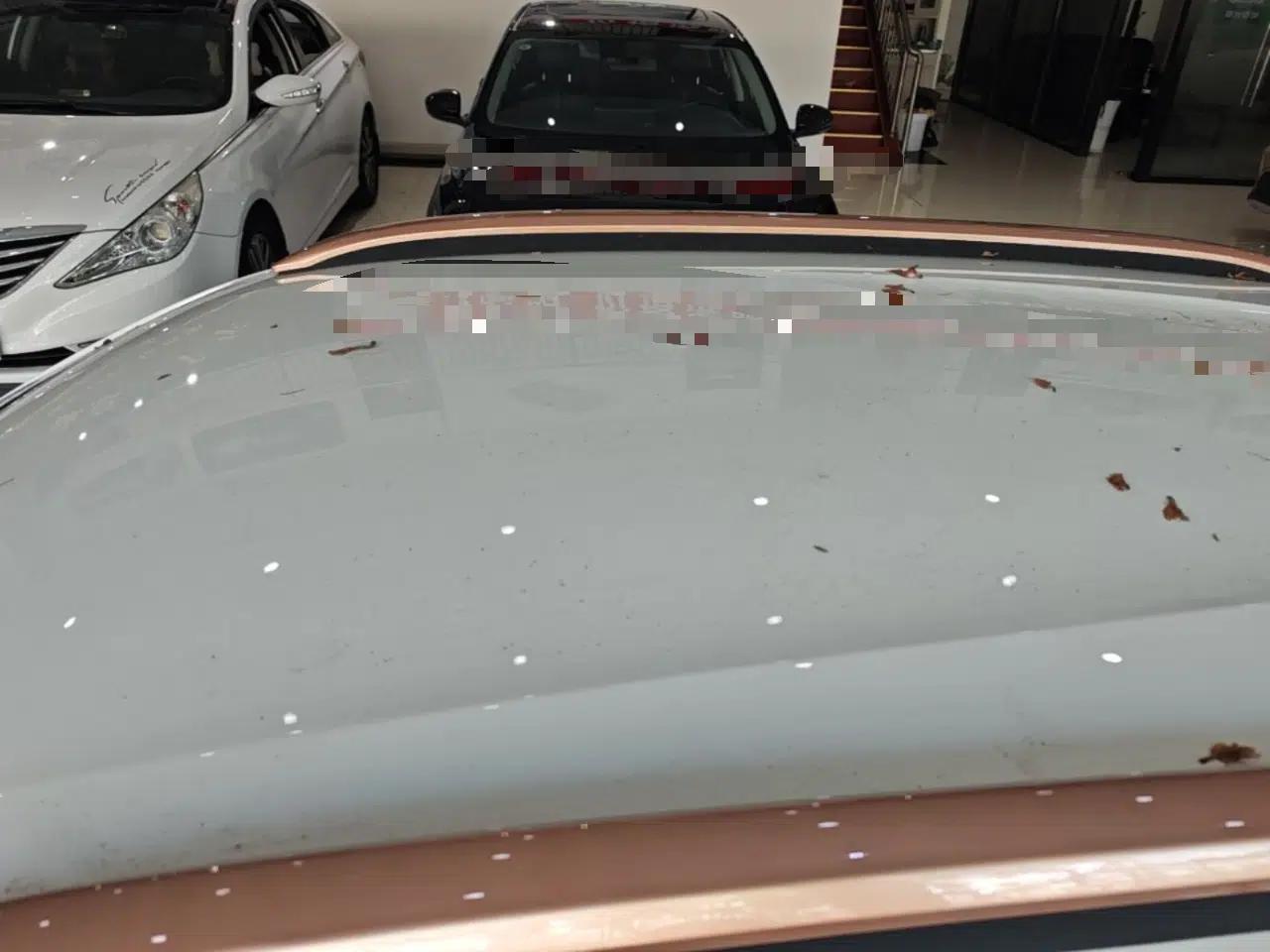 Dongfeng NAMMI BOX 2022 Revised Light Wind Edition 201 km Standard Version — миниатюра 11
