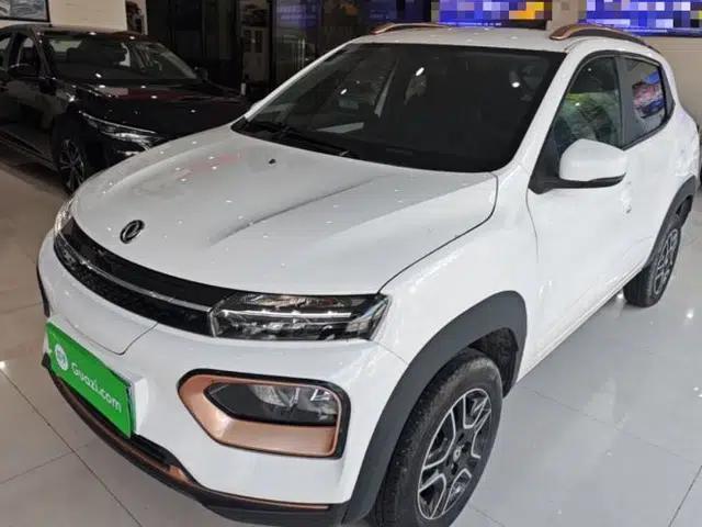 Dongfeng NAMMI BOX 2022 Revised Light Wind Edition 201 km Standard Version