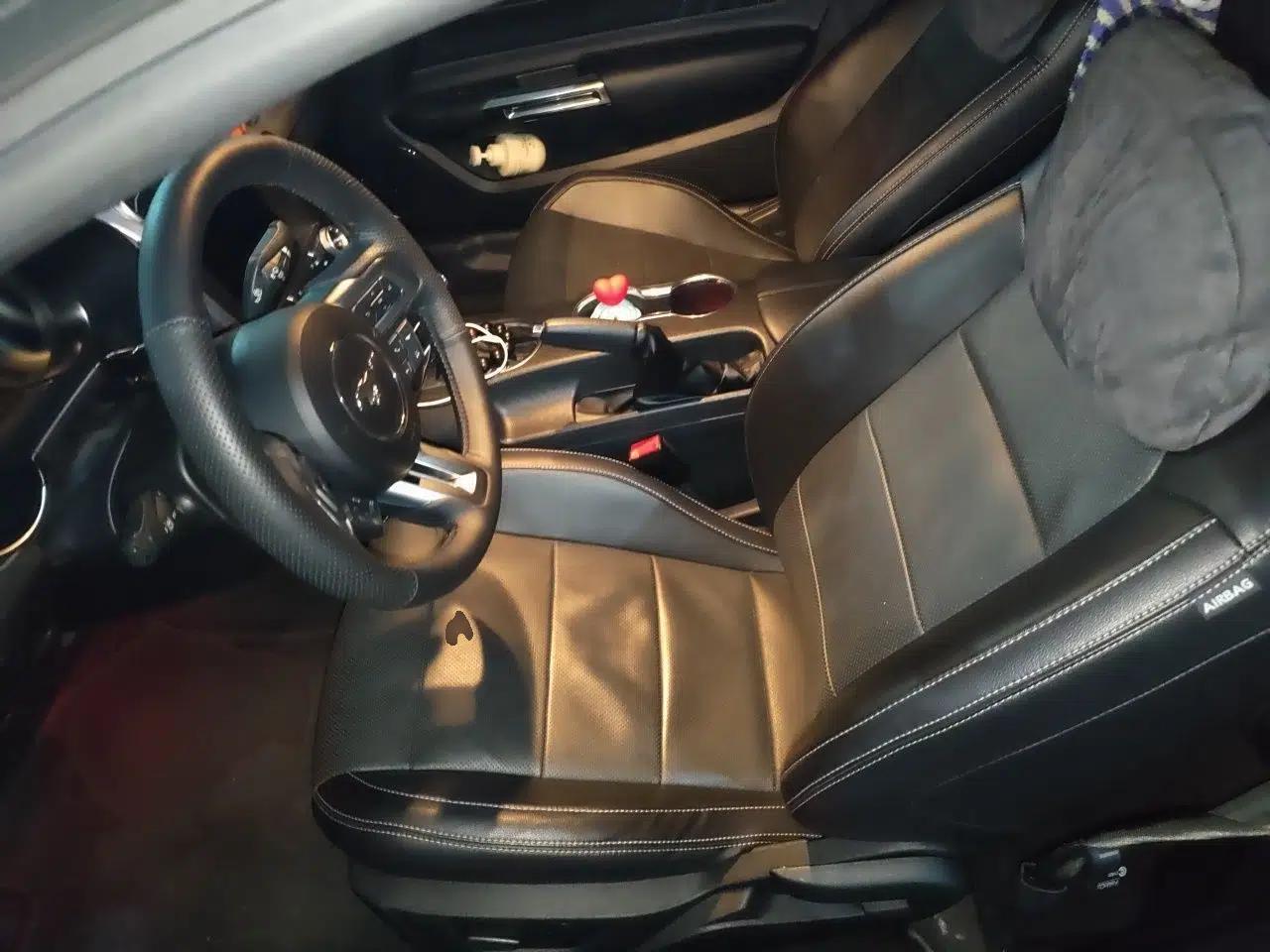 Ford Mustang 2019 2.3L EcoBoost Dark Knight Sport Edition — миниатюра 16