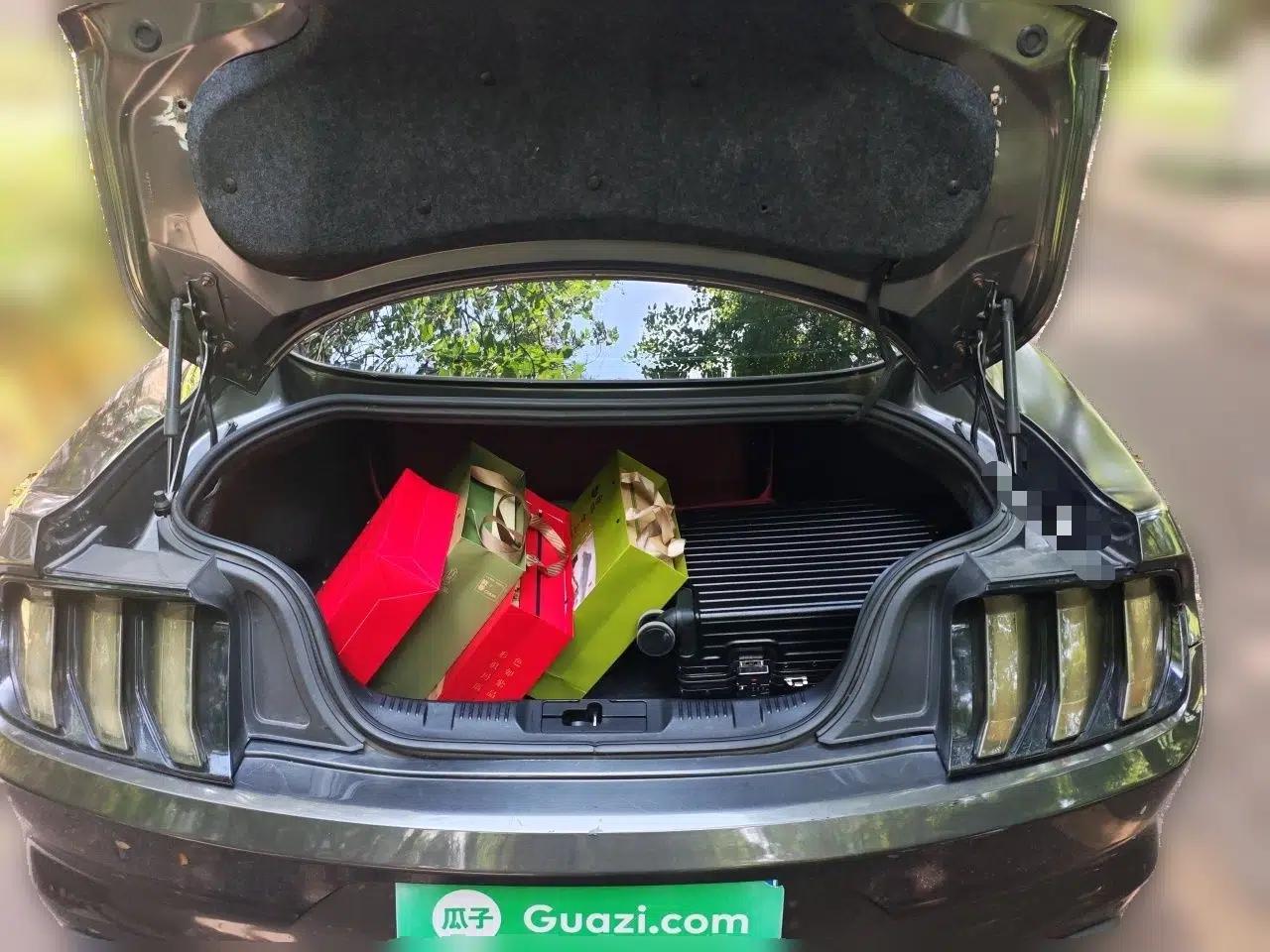 Ford Mustang 2015 5.0L GT Performance Edition — миниатюра 20