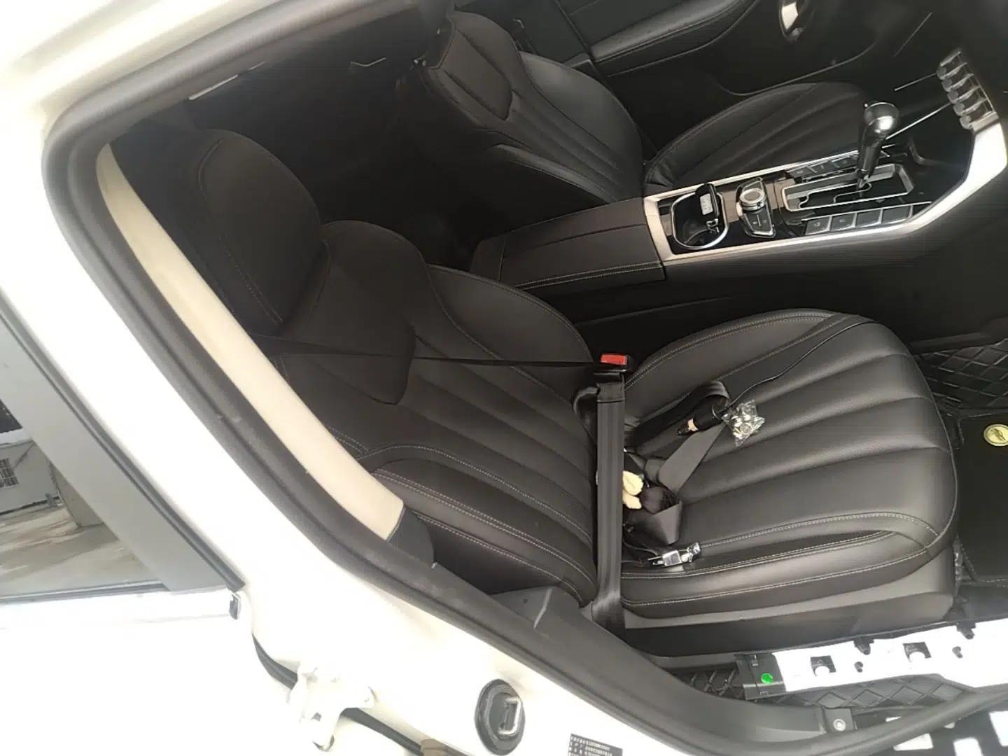 Ford Territory 2020 Lingjie S EcoBoost 145 CVT Zunling Edition — миниатюра 23