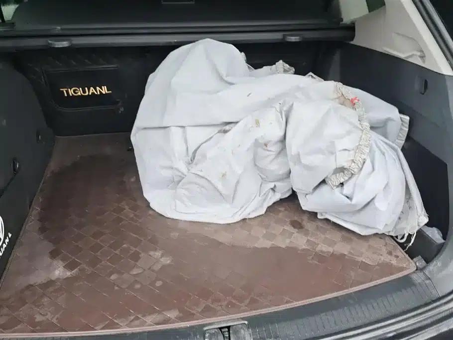 Tiguan L Plug-in Hybrid 2023 430PHEV Plug-in Hybrid Flagship Edition — миниатюра 4