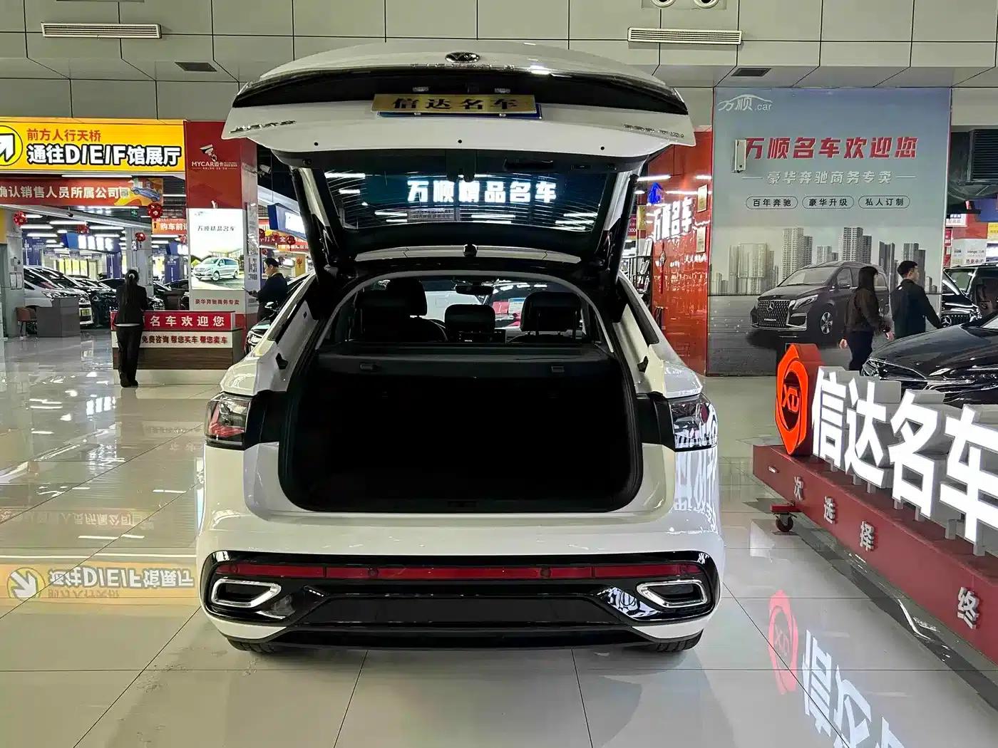 Tiguan X 2022 330TSI 2WD Flagship Edition — миниатюра 19