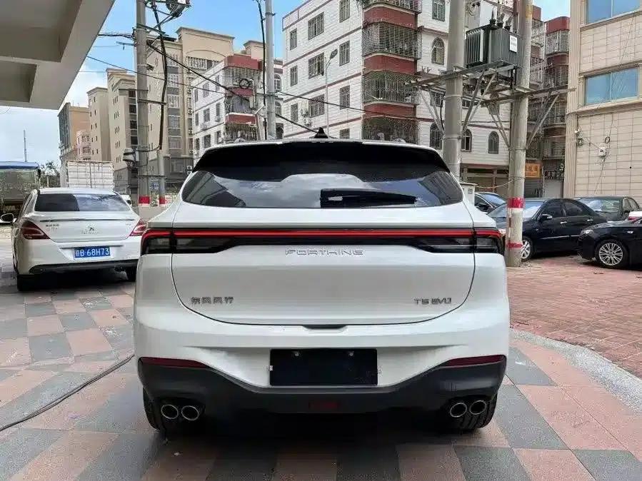 Fengxing T5 EVO 2021 1.5TD DCT Platinum Edition Heatwave — миниатюра 11