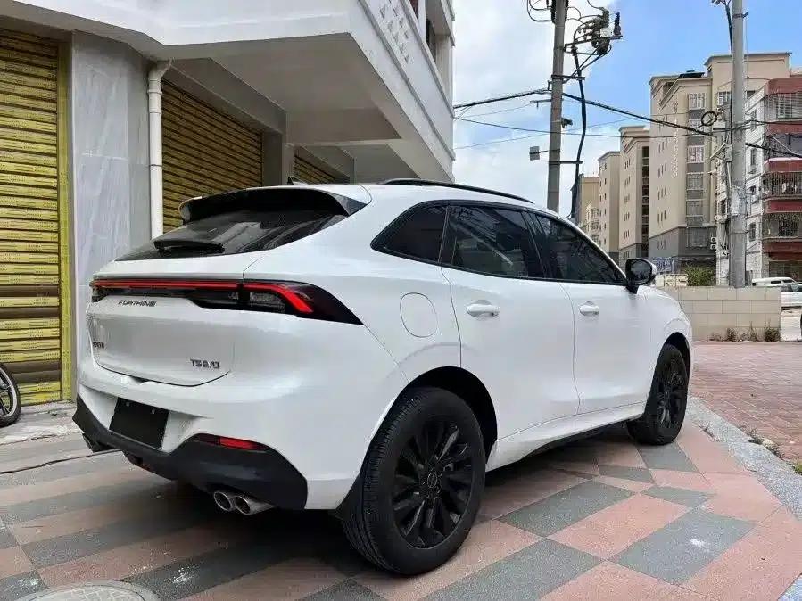 Fengxing T5 EVO 2021 1.5TD DCT Platinum Edition Heatwave — миниатюра 12