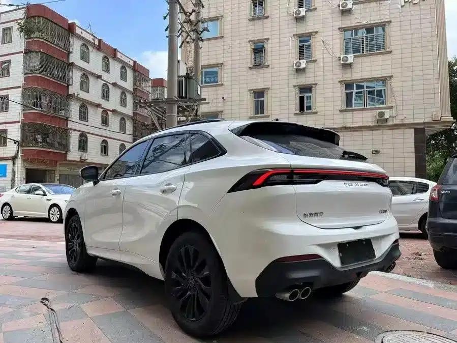 Fengxing T5 EVO 2021 1.5TD DCT Platinum Edition Heatwave — миниатюра 10