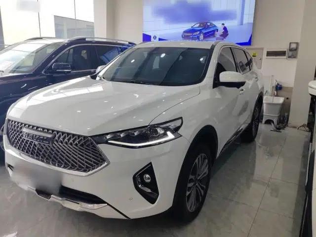 Haval F7 2021 2.0T Two-Wheel Drive i-Van