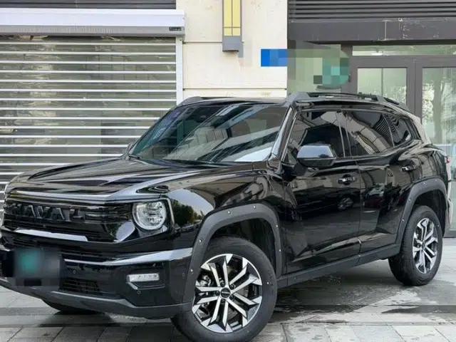 Haval H Dog 2026 Model 2.0T All-Wheel-Drive Trendy Wilderness Edition