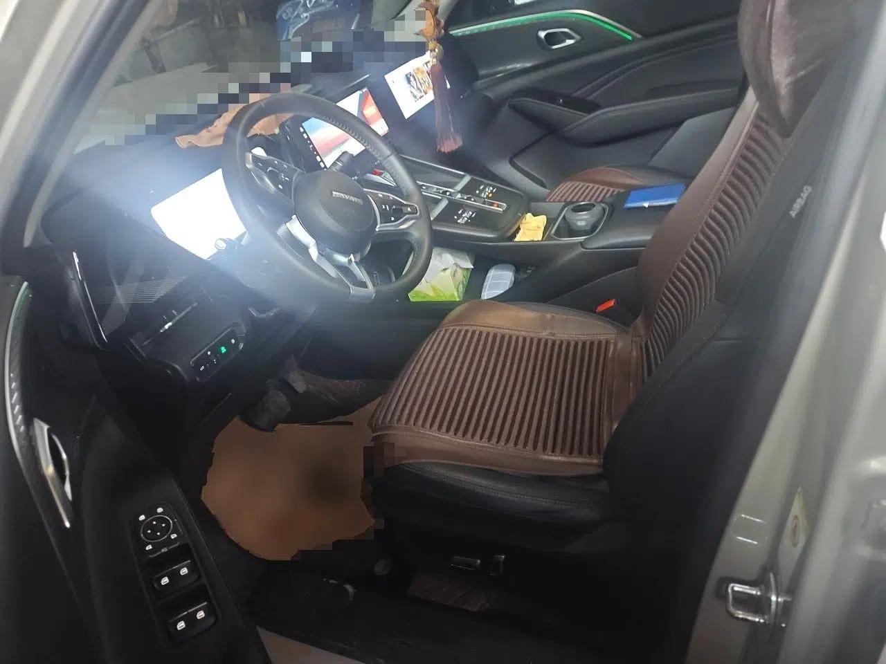 Haval Fierce Dragon Max 2023 1.5L Hi4 105 Four-Wheel Drive Navigation Edition — миниатюра 16