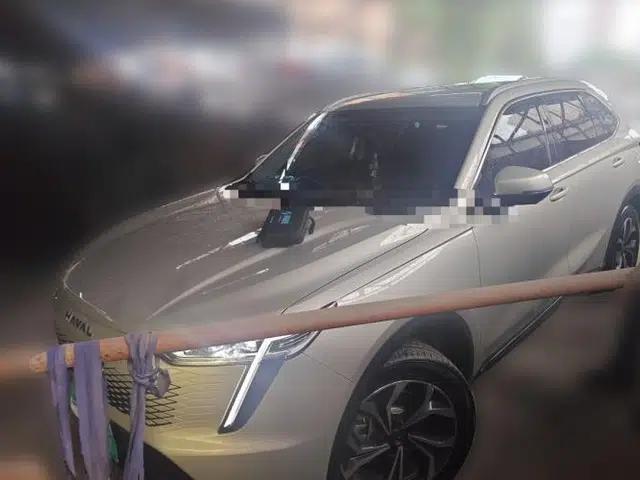 Haval Fierce Dragon Max 2023 1.5L Hi4 105 Four-Wheel Drive Navigation Edition