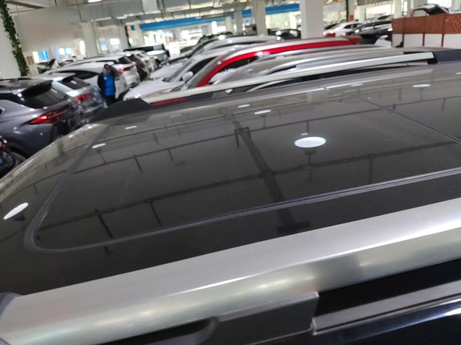 Haval H Dog New Energy 2024 Hi4 102km Trend Electric Version Plus — миниатюра 11