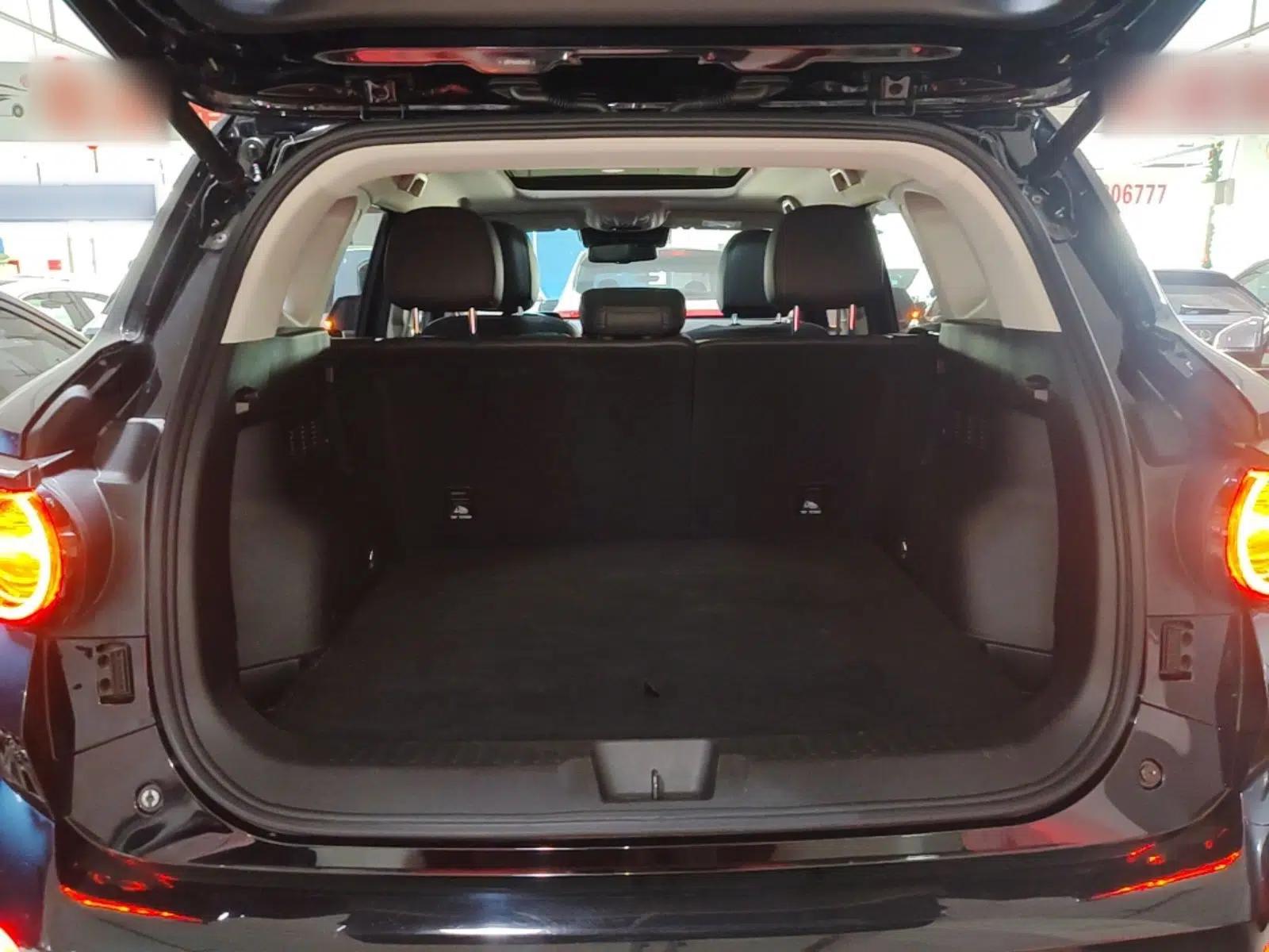 Haval H Dog New Energy 2024 Hi4 102km Trend Electric Version Plus — миниатюра 22