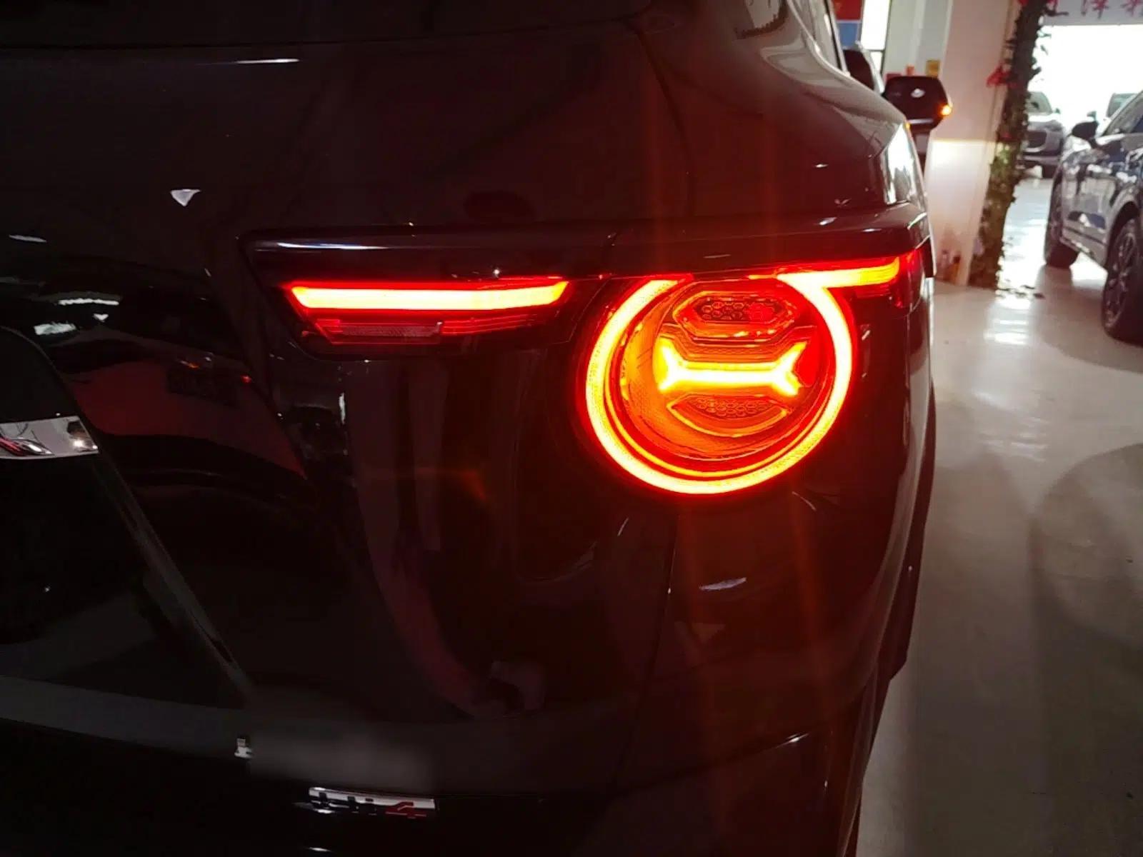 Haval H Dog New Energy 2024 Hi4 102km Trend Electric Version Plus — миниатюра 7