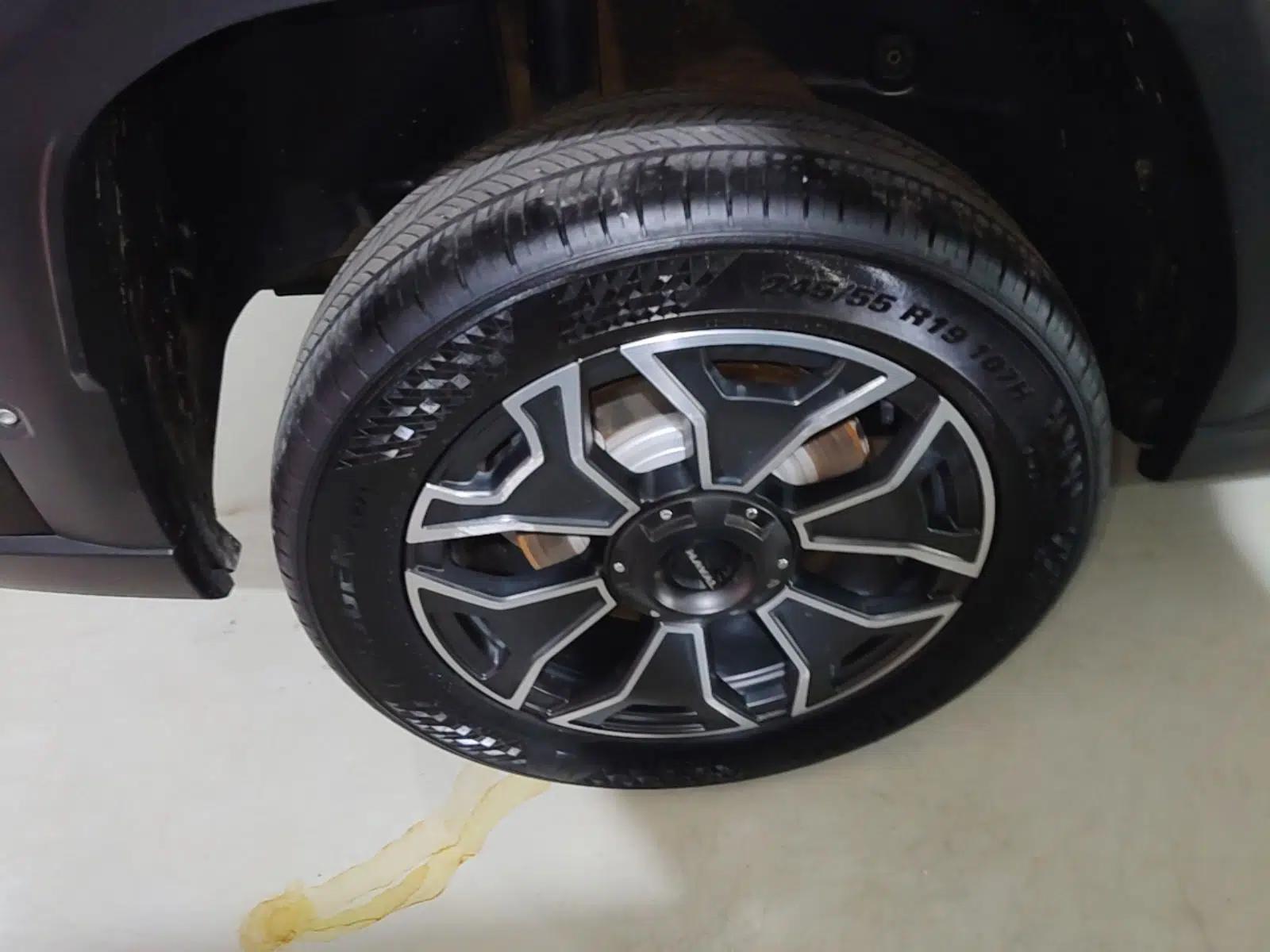Haval H Dog New Energy 2024 Hi4 102km Trend Electric Version Plus — миниатюра 10