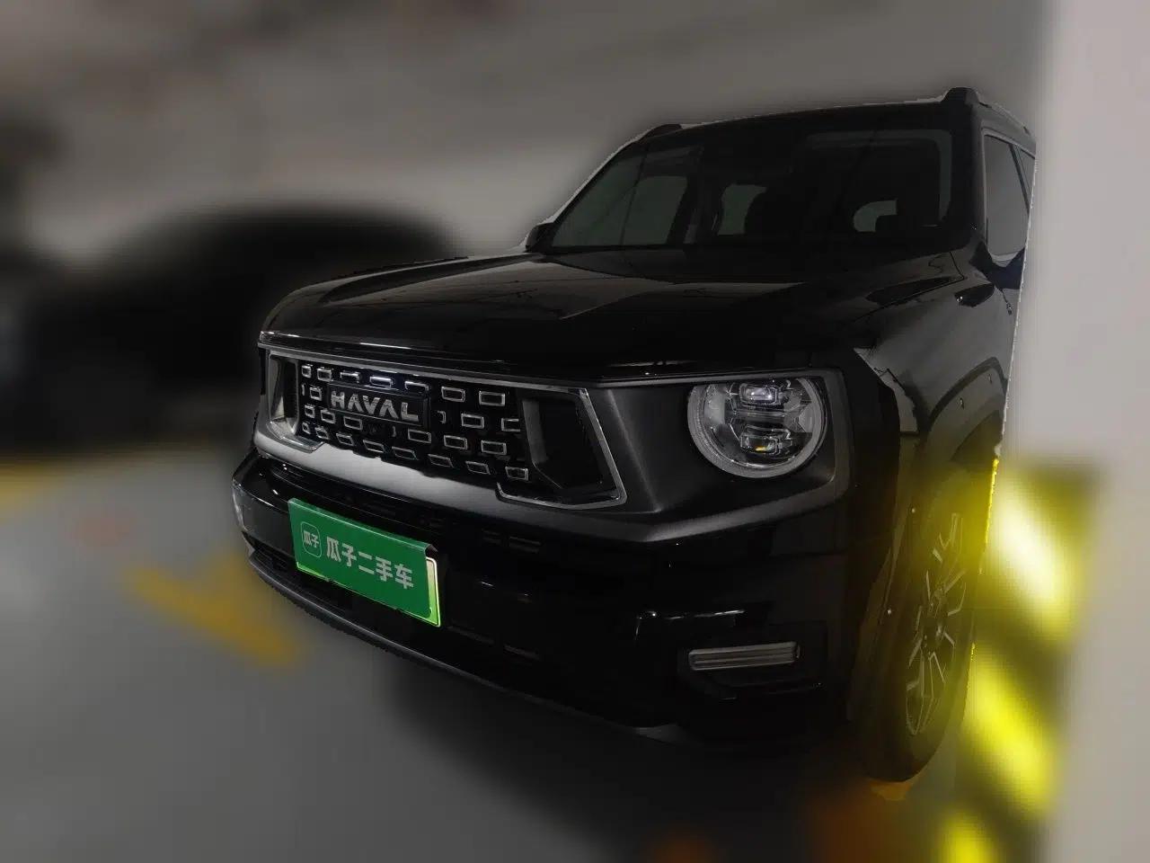 Haval H Dog New Energy 2023 DHT-PHEV 105km Tide Electric Version Plus — миниатюра 1