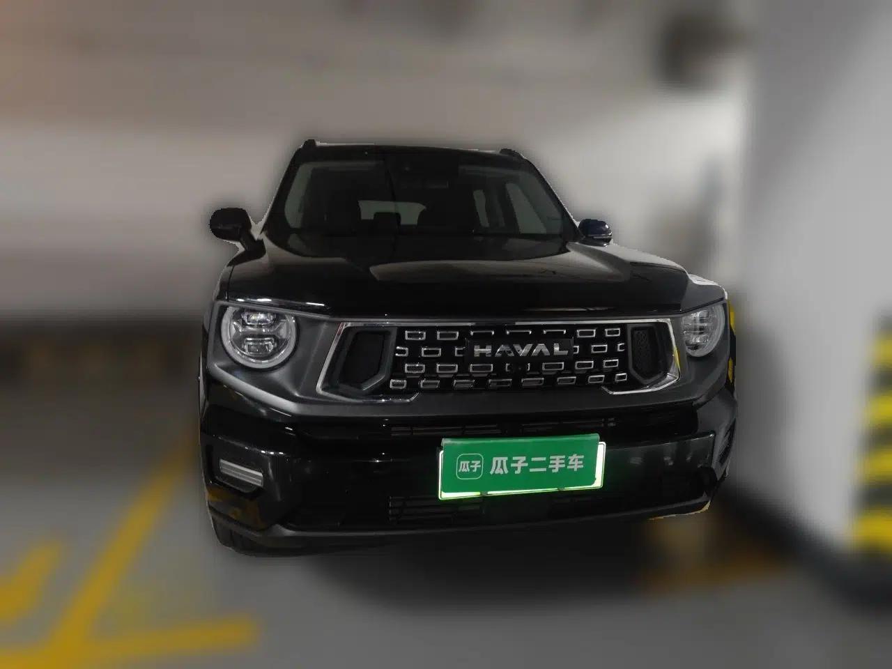 Haval H Dog New Energy 2023 DHT-PHEV 105km Tide Electric Version Plus — миниатюра 2