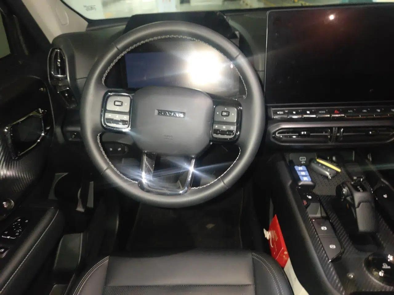 Haval H Dog New Energy 2023 DHT-PHEV 105km Tide Electric Version Plus — миниатюра 11