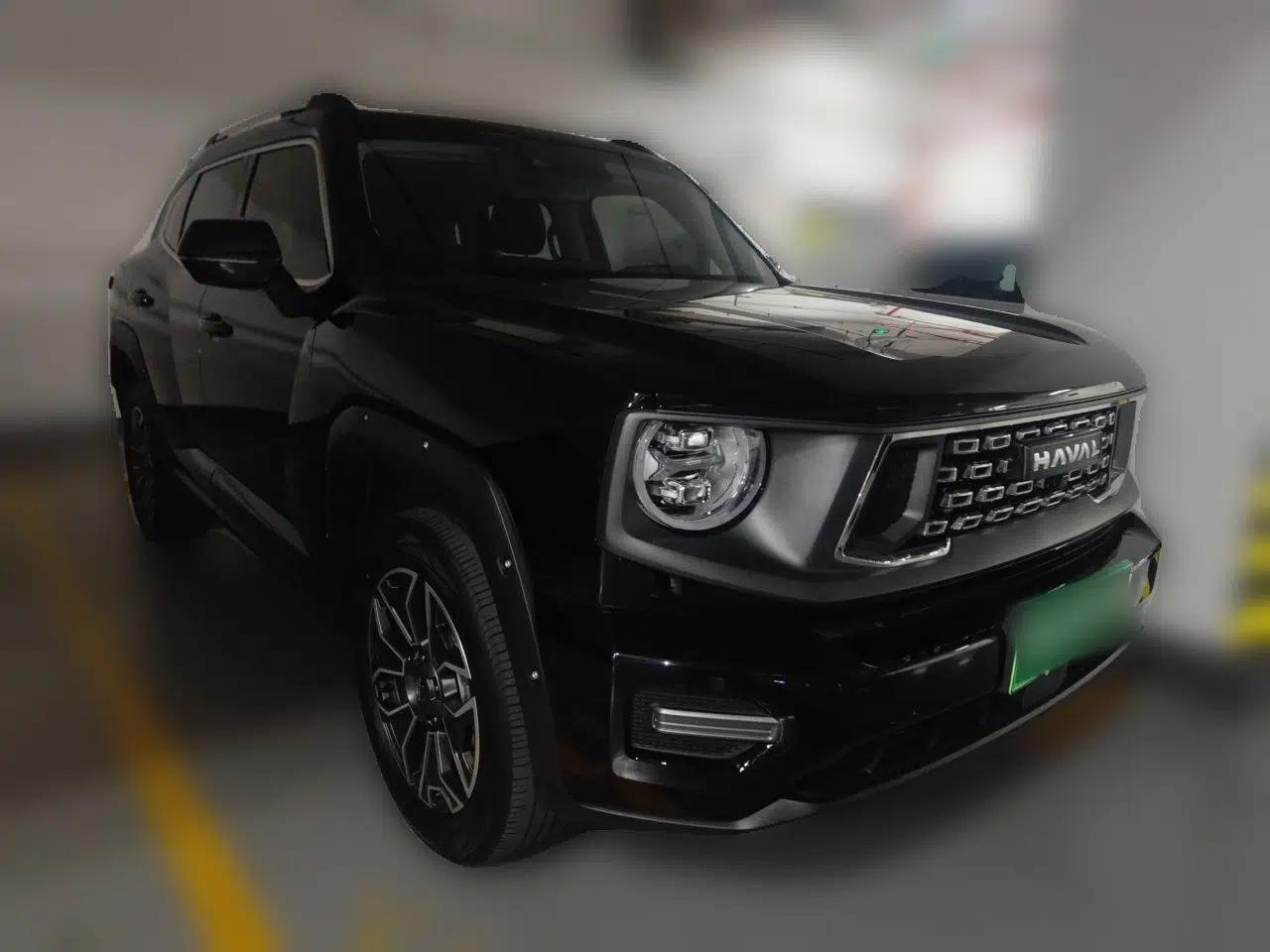 Haval H Dog New Energy 2023 DHT-PHEV 105km Tide Electric Version Plus — миниатюра 3