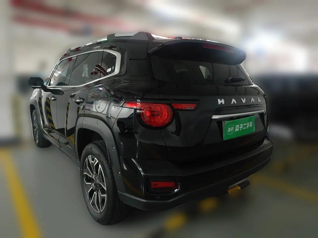 Haval H Dog New Energy 2023 DHT-PHEV 105km Tide Electric Version Plus — миниатюра 4