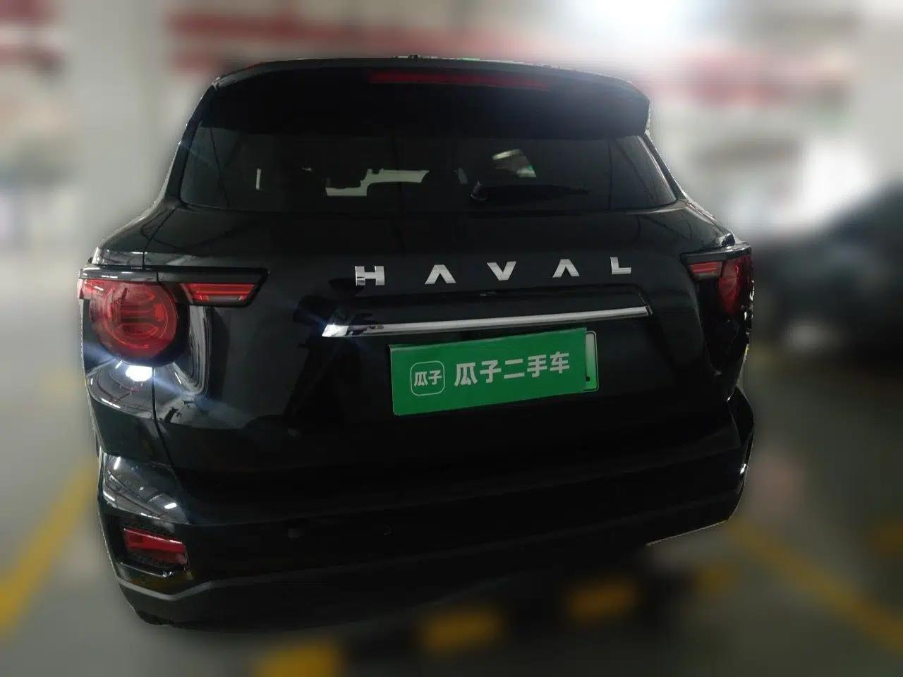 Haval H Dog New Energy 2023 DHT-PHEV 105km Tide Electric Version Plus — миниатюра 5