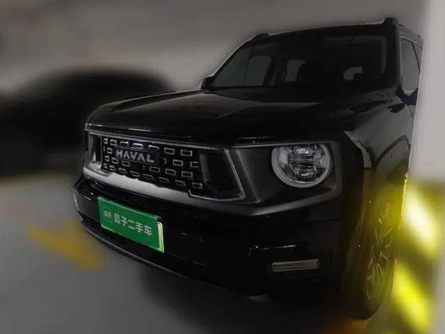 Haval H Dog New Energy 2023 DHT-PHEV 105km Tide Electric Version Plus