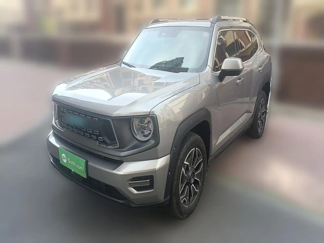 Haval H Dog New Energy 2023 DHT-PHEV 105km Tide Electric Version Plus — миниатюра 1
