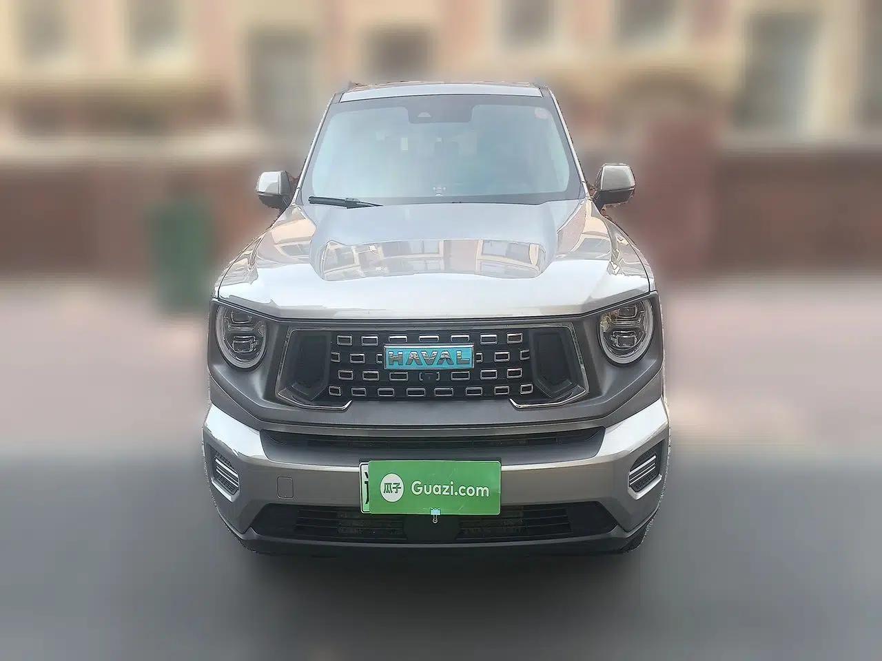 Haval H Dog New Energy 2023 DHT-PHEV 105km Tide Electric Version Plus — миниатюра 2