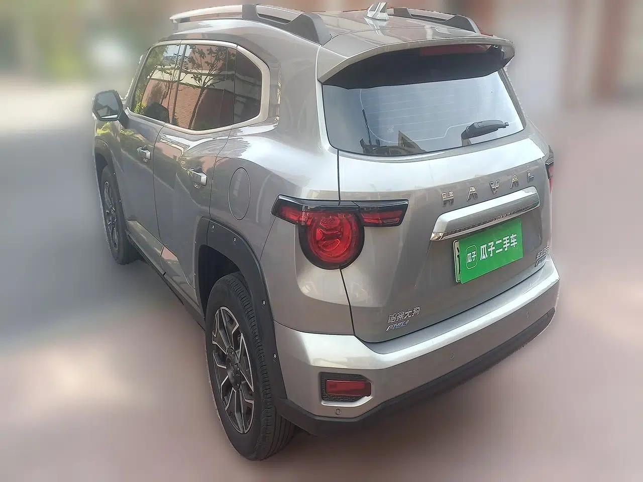 Haval H Dog New Energy 2023 DHT-PHEV 105km Tide Electric Version Plus — миниатюра 4