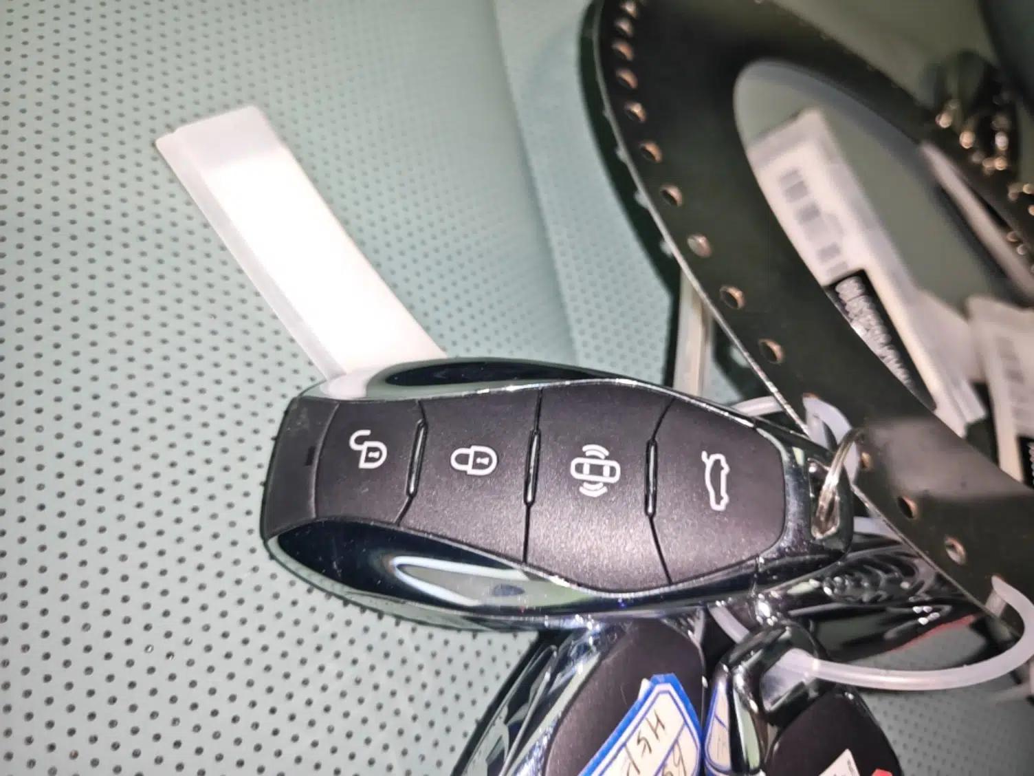 Hongqi EH7 2025 600 Smart Selection Edition — миниатюра 12